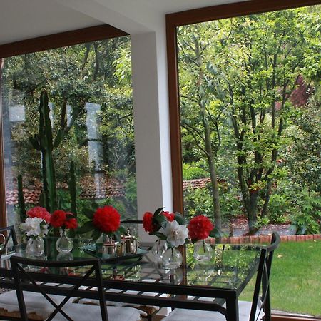 Appartamento La Camelia D'Oro Oggebio Esterno foto