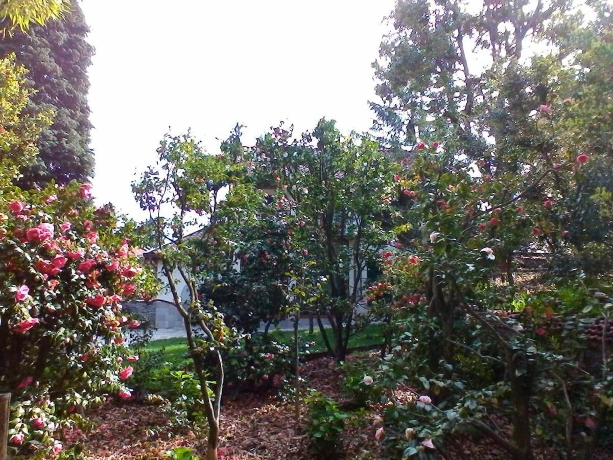 Appartamento La Camelia D'Oro Oggebio Esterno foto